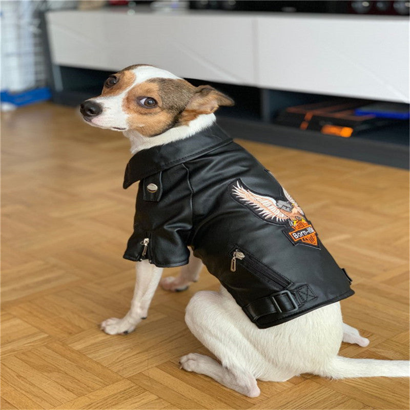 Dog Biker Jacket