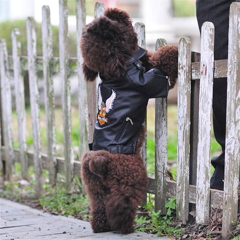 Dog Biker Jacket