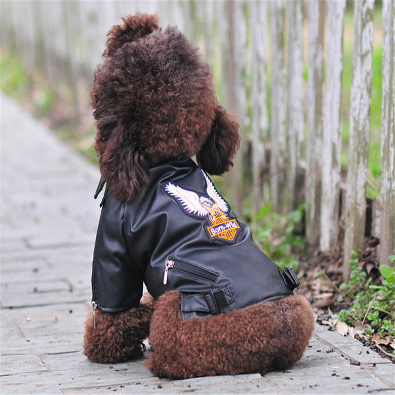 Dog Biker Jacket