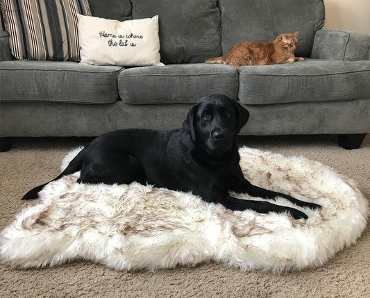 Sheepskin Style Dog Bed