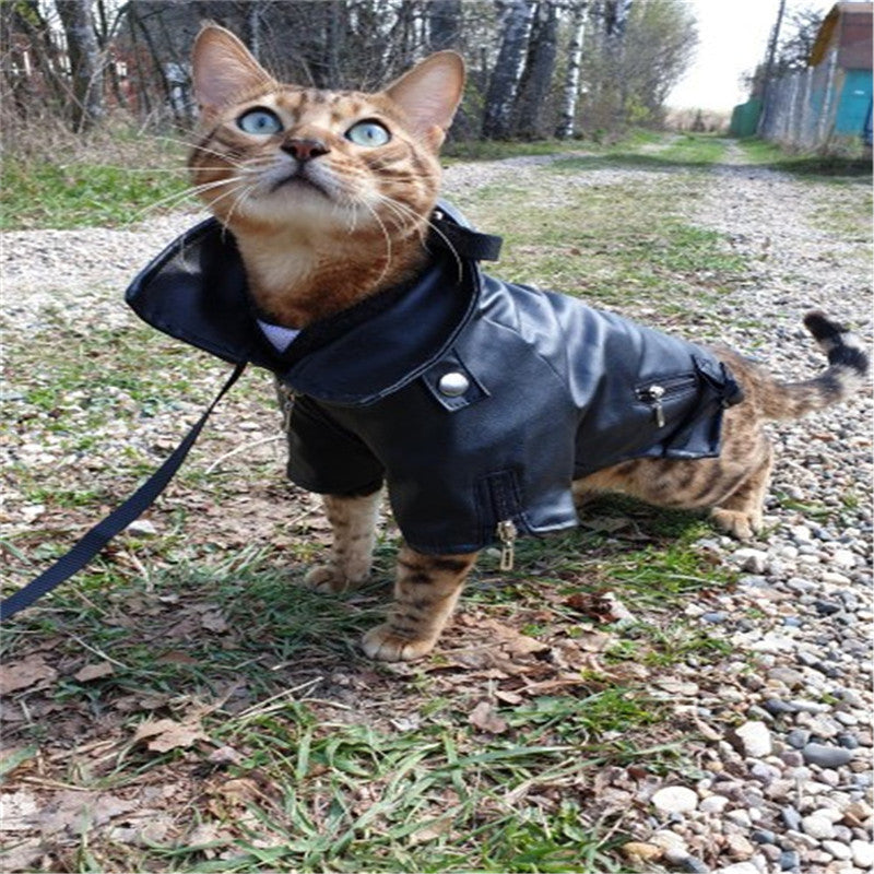 Dog Biker Jacket