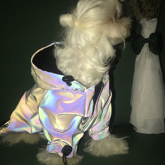 Reflective Dog Windbreaker